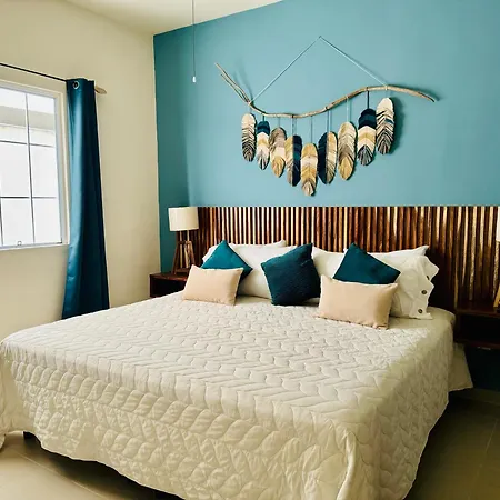 Selva Apartment